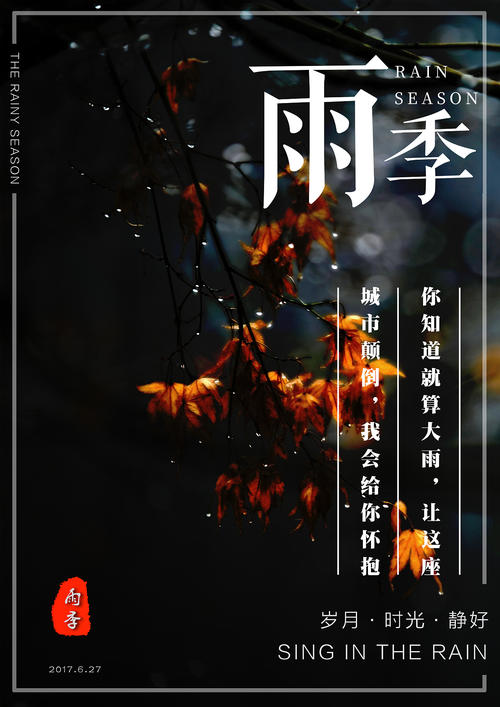 陕西电子信息职业技术学院毕业证丢了怎么办